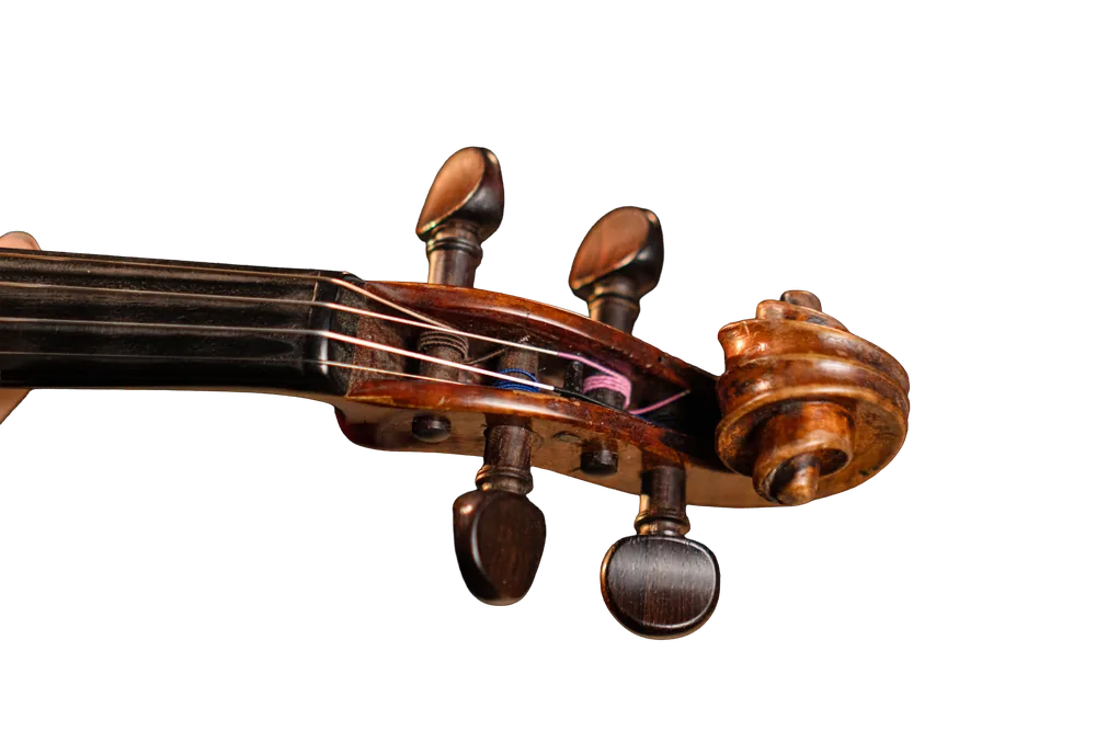 Chevilles d'accordage d'un violon, gros plan