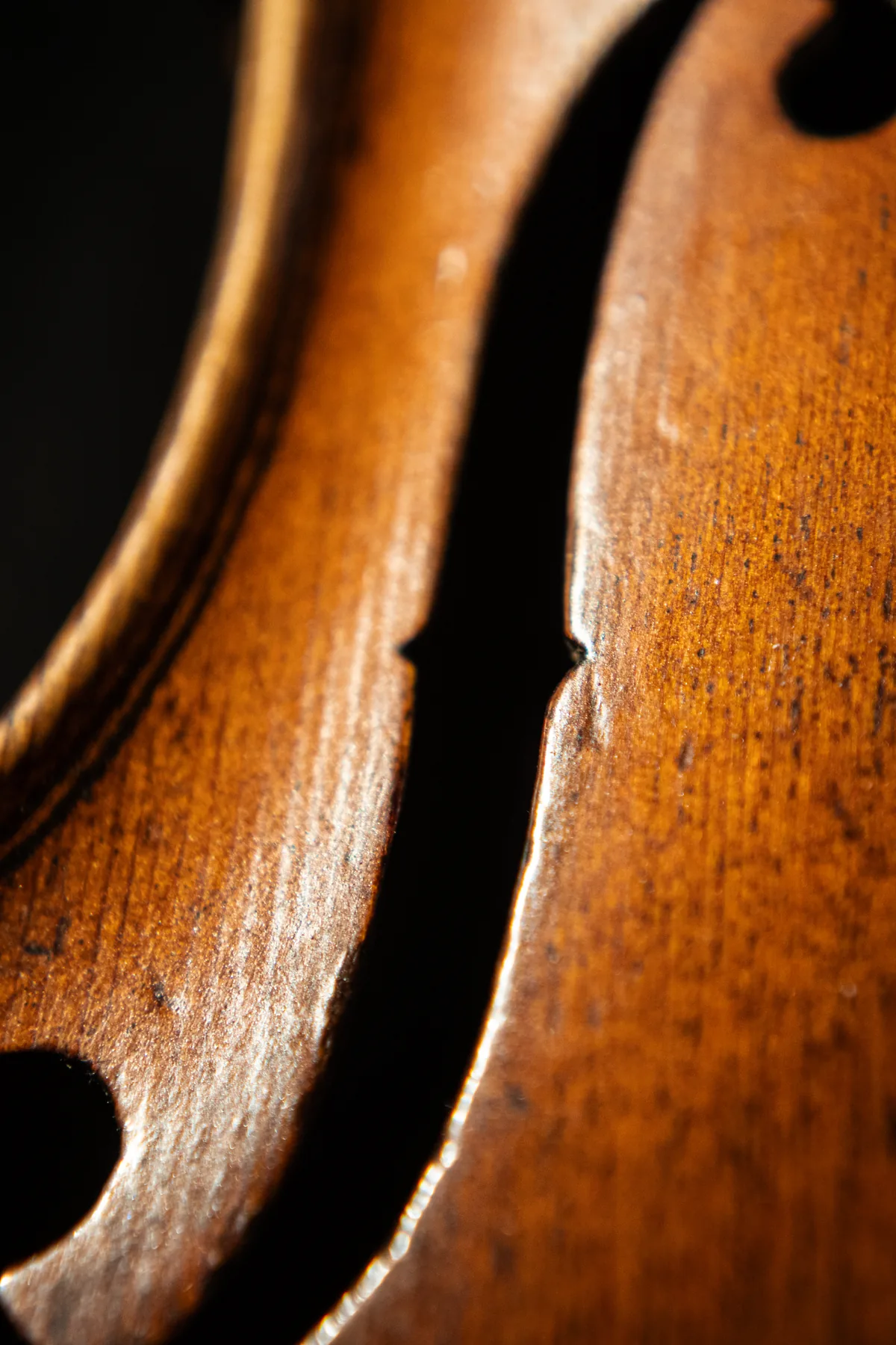 Cours de violon particulier dans les Alpes-Maritimes
